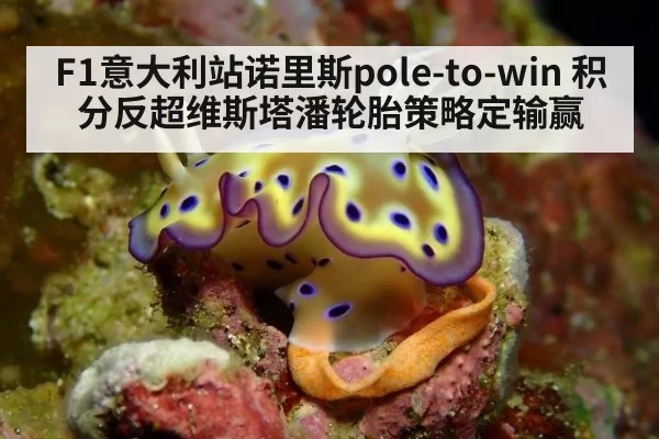 F1意大利站诺里斯pole-to-win 积分反超维斯塔潘轮胎策略定输赢