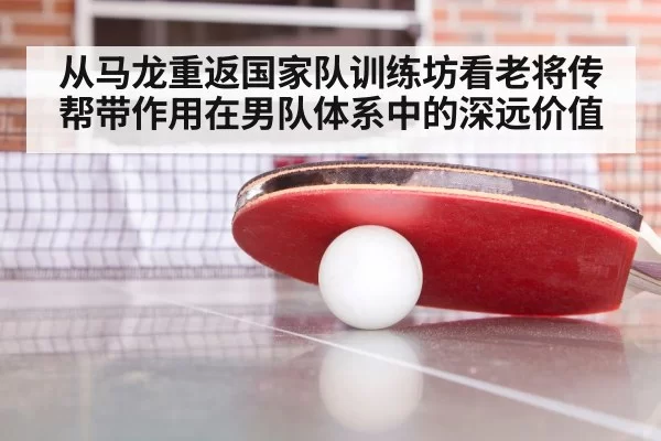 从马龙重返国家队训练坊看老将传帮带作用在男队体系中的深远价值
